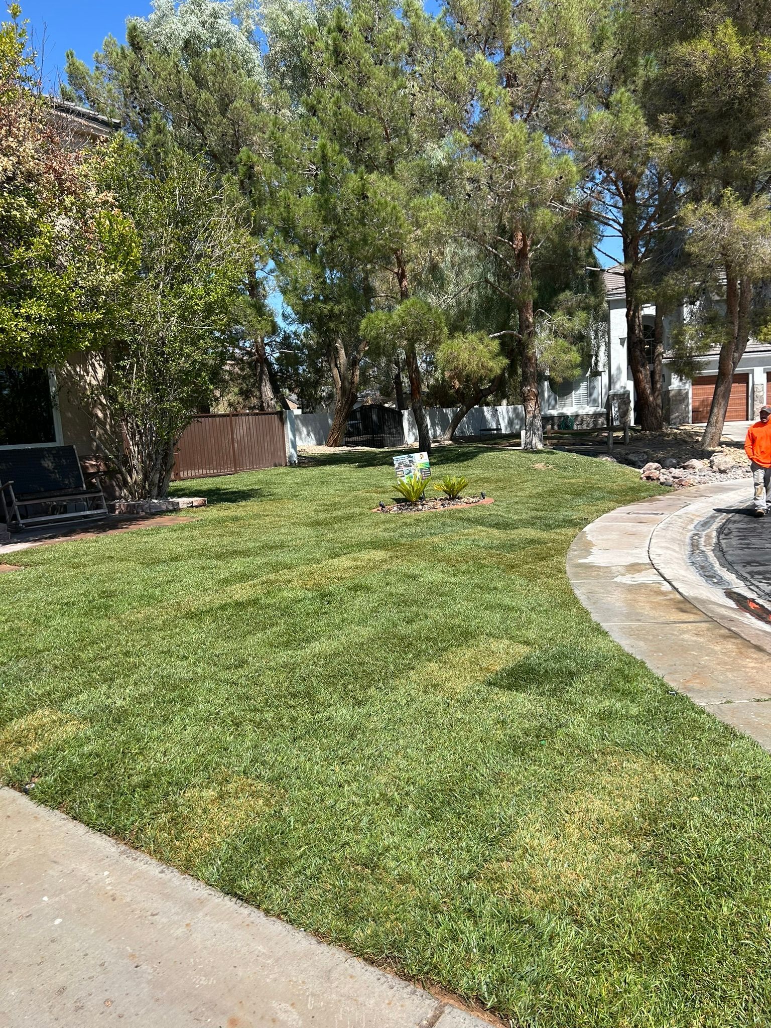 Lush green lawn bordering a sidewalk with trees and a house in the background.