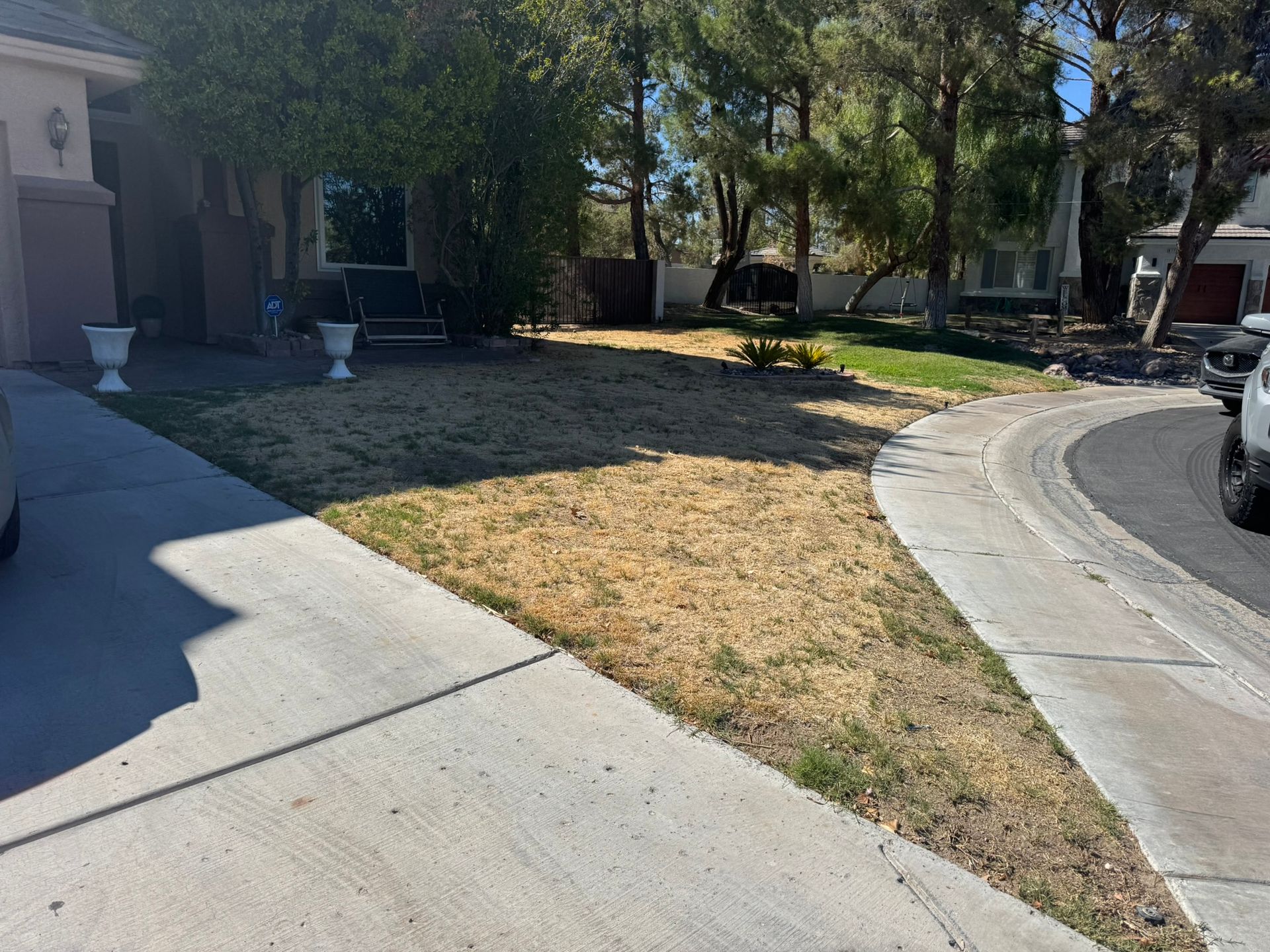 Dry brown lawn in front of a house with driveway and sidewalk on a sunny day.