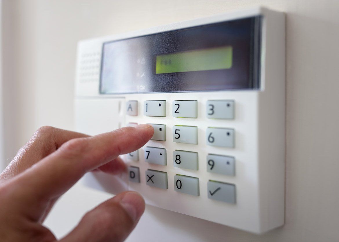 Professional Intrusion Systems
