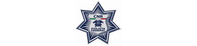 Blue star-shaped police badge emblem with a central shield and text details