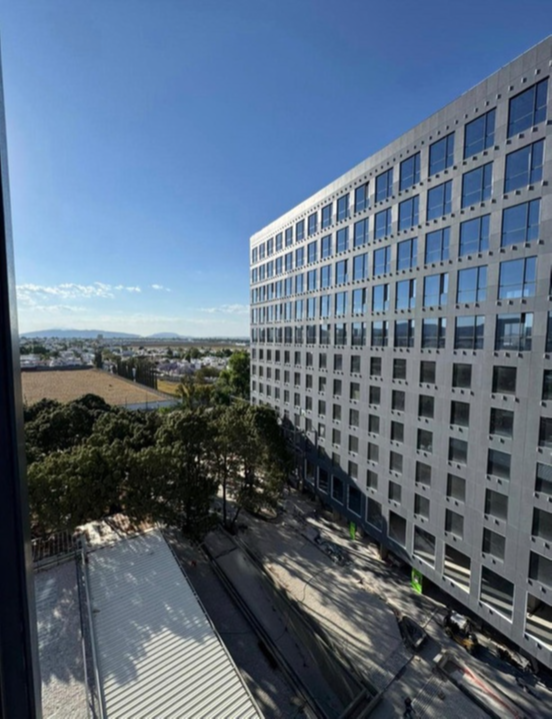 Modern office building beside a tree-lined street under a clear blue sky