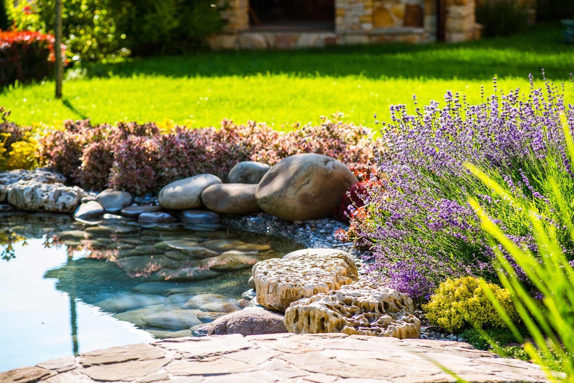 A pond surrounded by rocks and flowers in a garden.