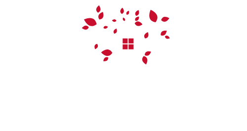 A bunch of red petals are falling on a white background.