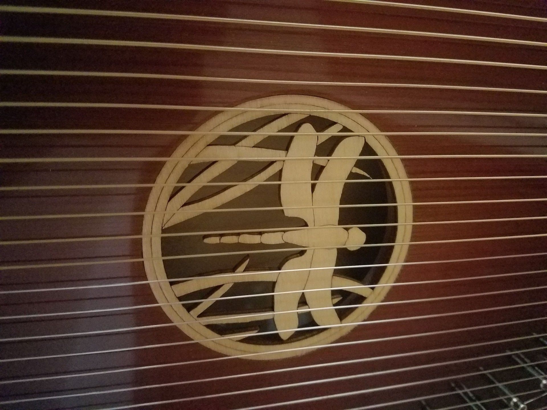 A dragonfly in a circle on a stringed instrument