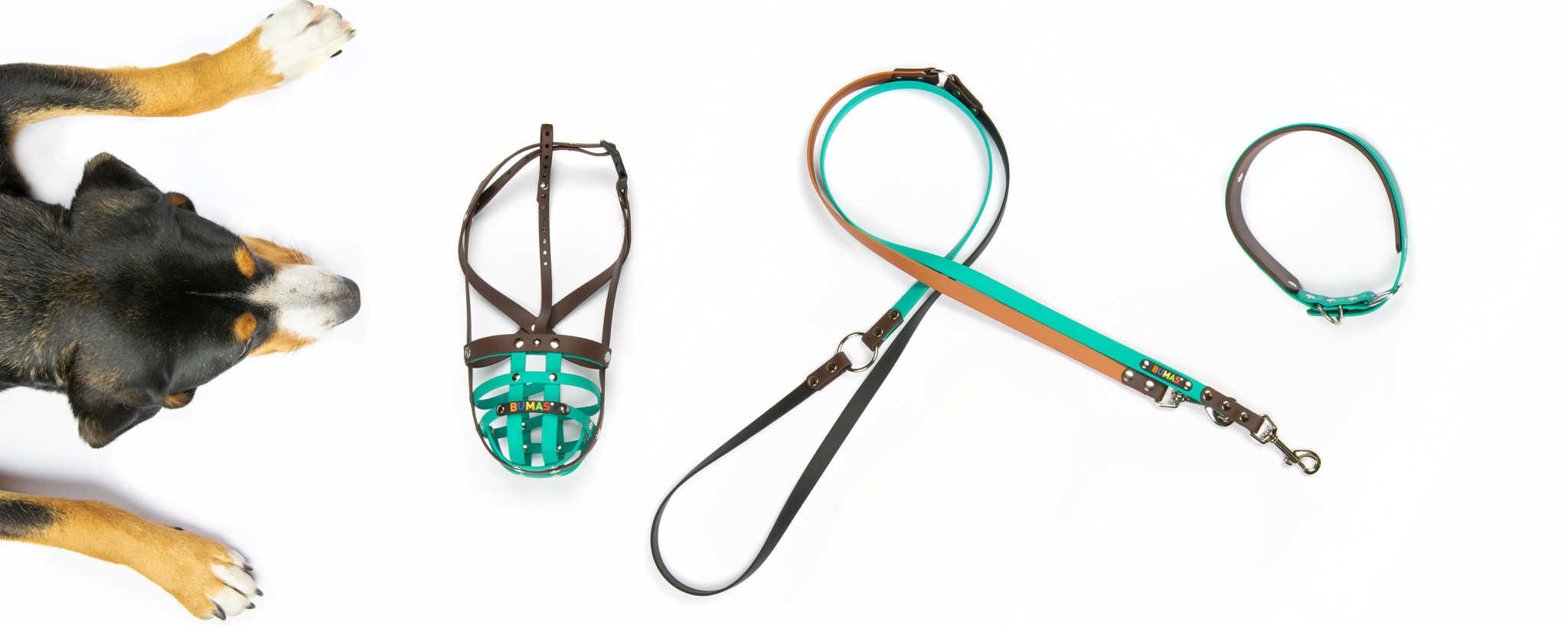 dog leashes