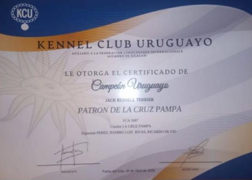 Certificado del Kennel Club Uruguayo para el Jack Russell Terrier Campeón. Diseño azul y dorado.