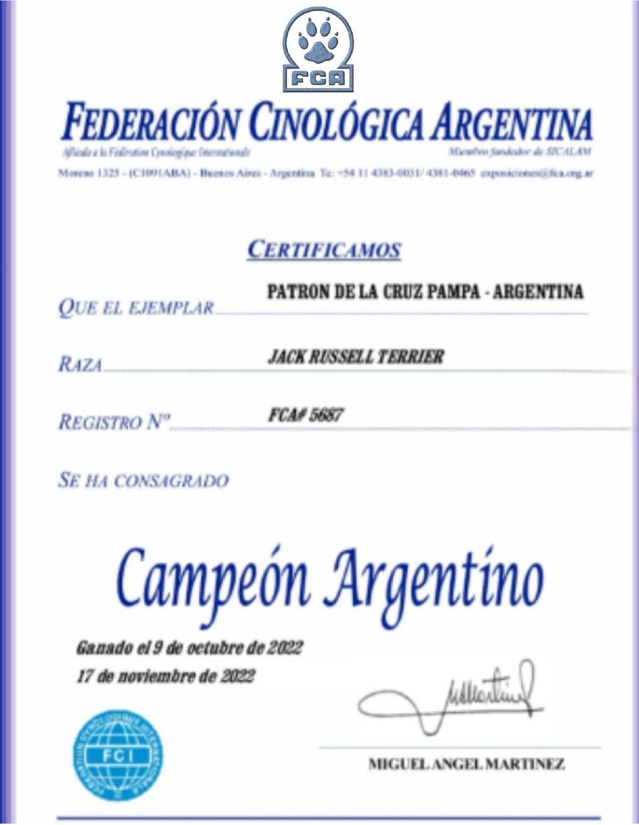 Certificate for a Jack Russell Terrier named Patron, awarded