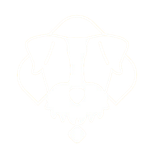 Logo de Open Pampita