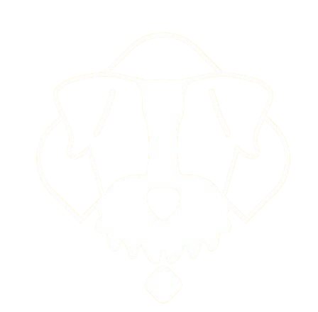 Logo de Open Pampita