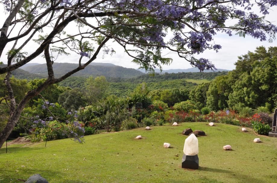 A Lush Green Field with Trees and Mountains in The Background — Fire Protection Services in Mullumbimby, NSW