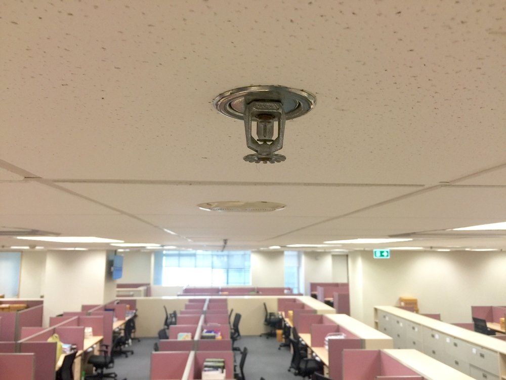 Ceiling Fire Sprinkler — Fire Protection Services in Goonellabah, NSW