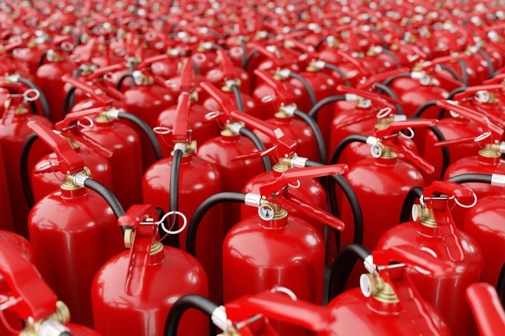 A Bunch of Red Fire Extinguishers Are Lined up In a Row — Fire Protection Services in Brunswick Heads, NSW