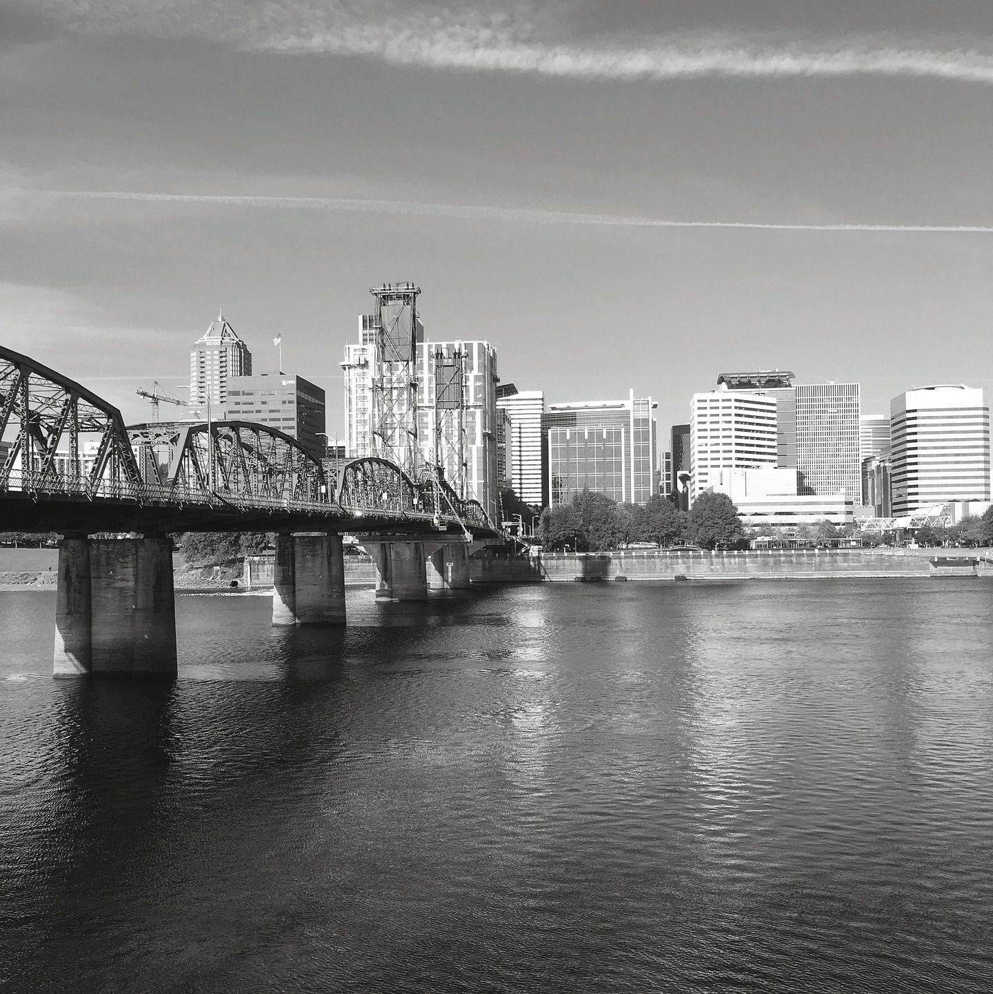 Insurance Companies I'm Appointed With