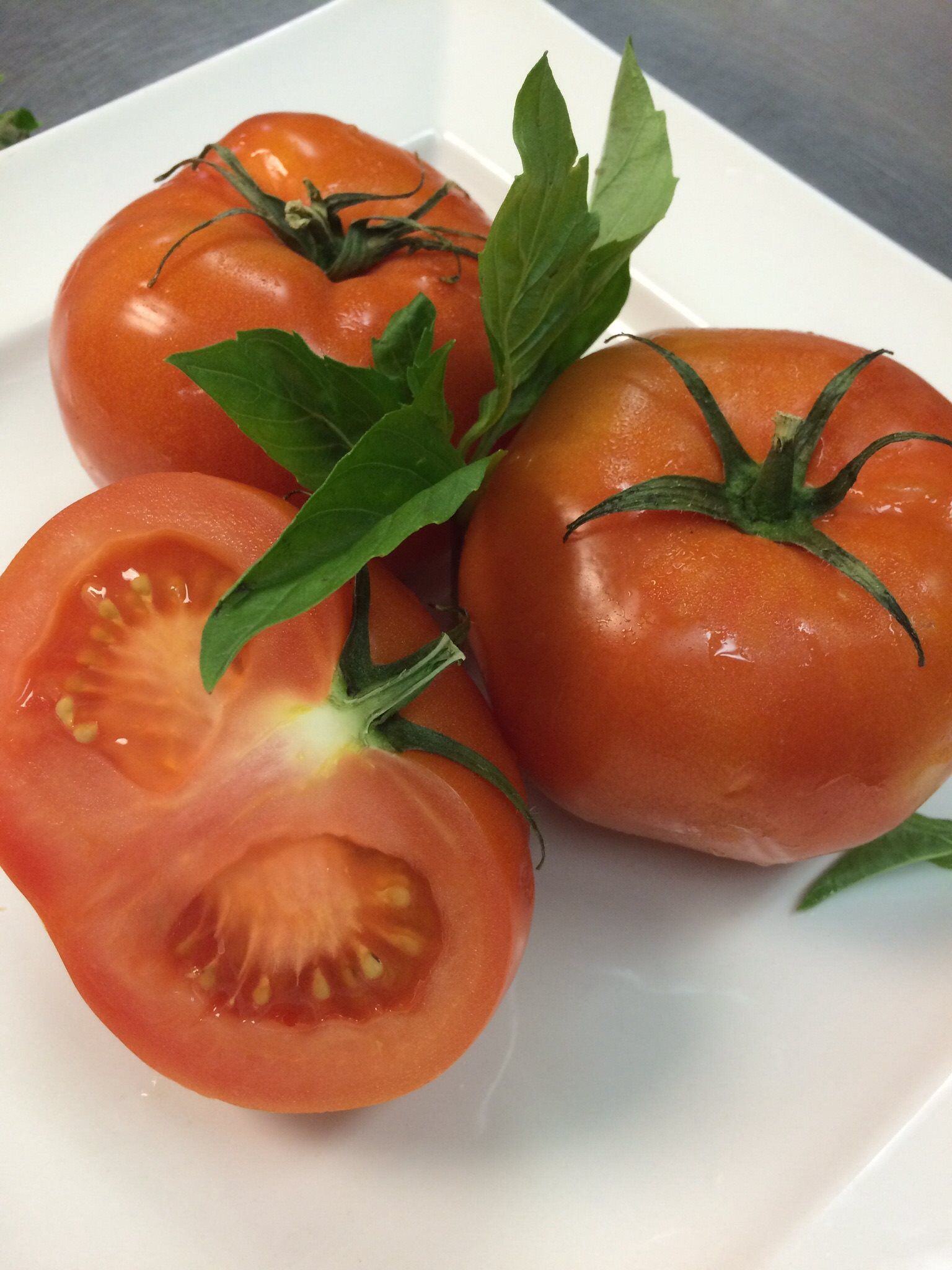 Three tomatoes with green leaves on a white plate