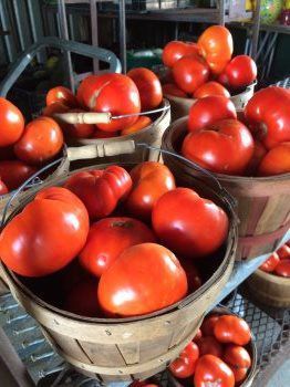 A bunch of baskets filled with tomatoes are sitting on a table.