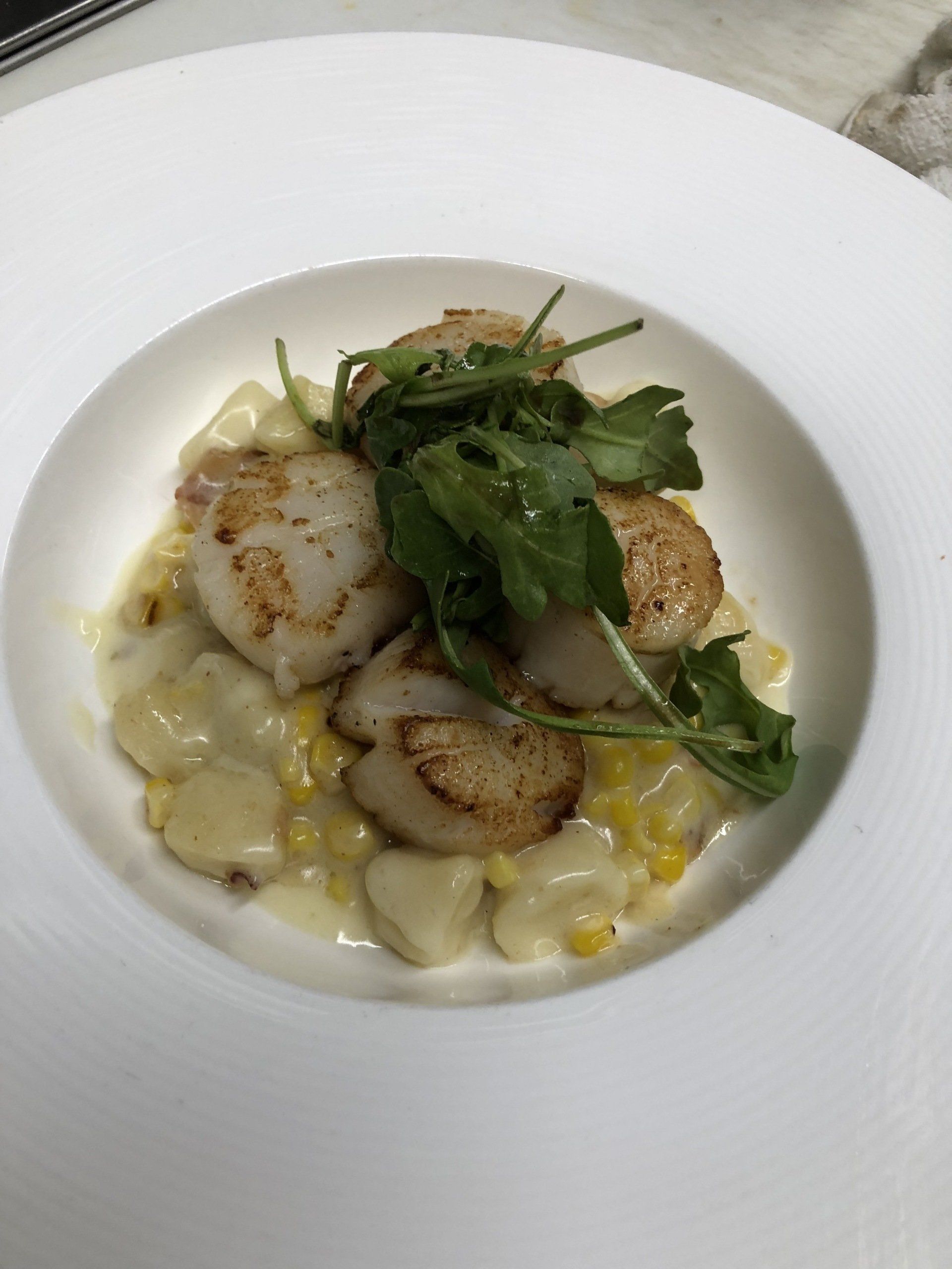 A white plate topped with scallops and corn on the cob.