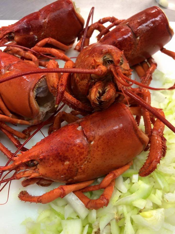 A white plate topped with lobsters and lettuce