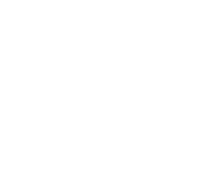 DRA. REYNA GUADALUPE GAMBOA LEÓN 