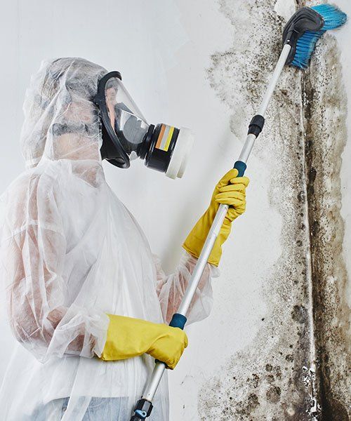 Mold Remediation — Campbell, CA — JWH Asbestos Removal Services