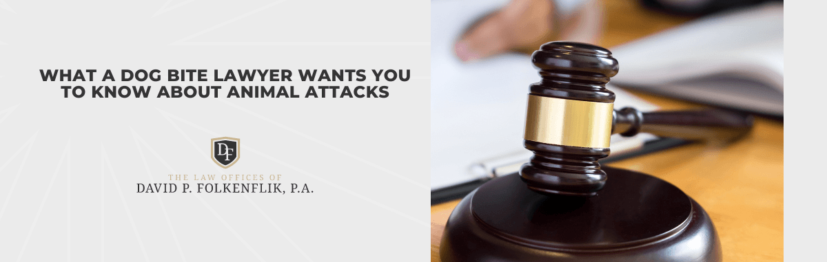 What a Dog Bite Lawyer Wants You to Know About Animal Attacks