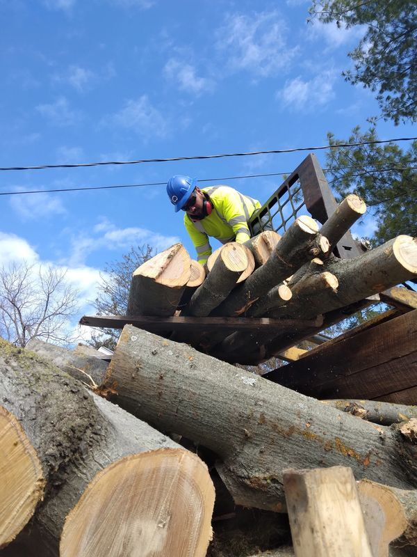 Logs — Cincinnati, OH — Rojas Chops Tree Service LLC