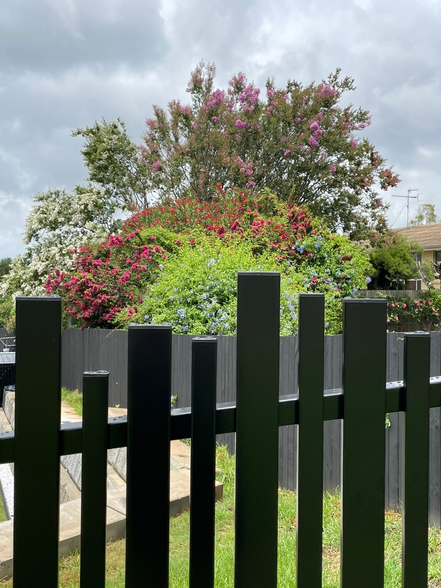 A black picket fence with flowers in the background