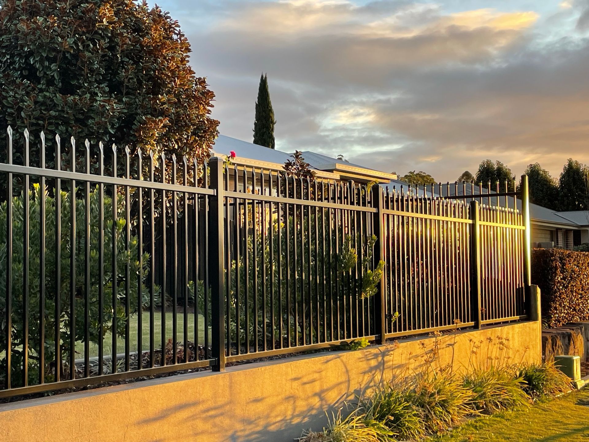 A black metal fence is surrounded by trees and bushes in front of a house.
