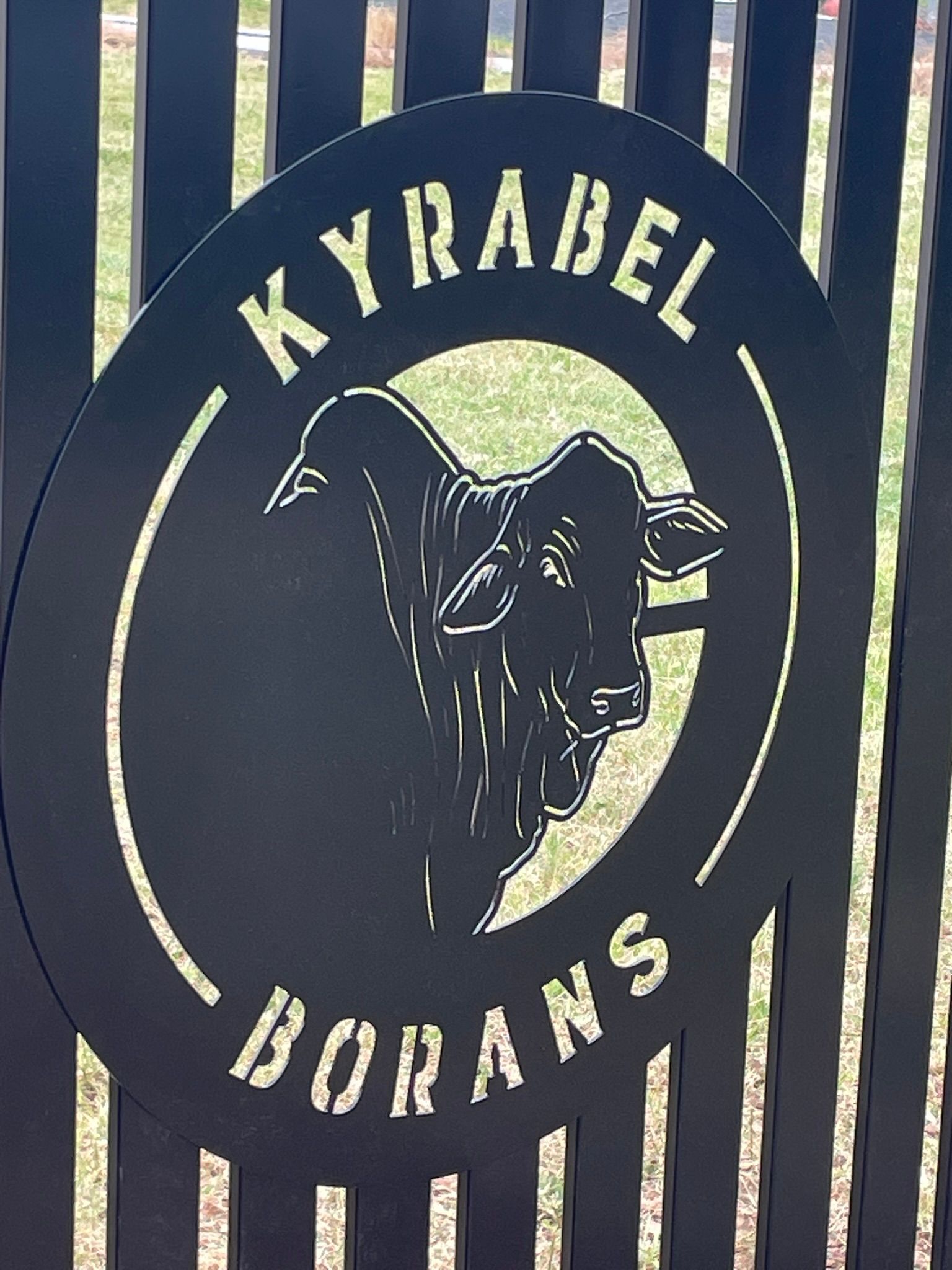 A laser cut sign on a fence that says kyrabel borans