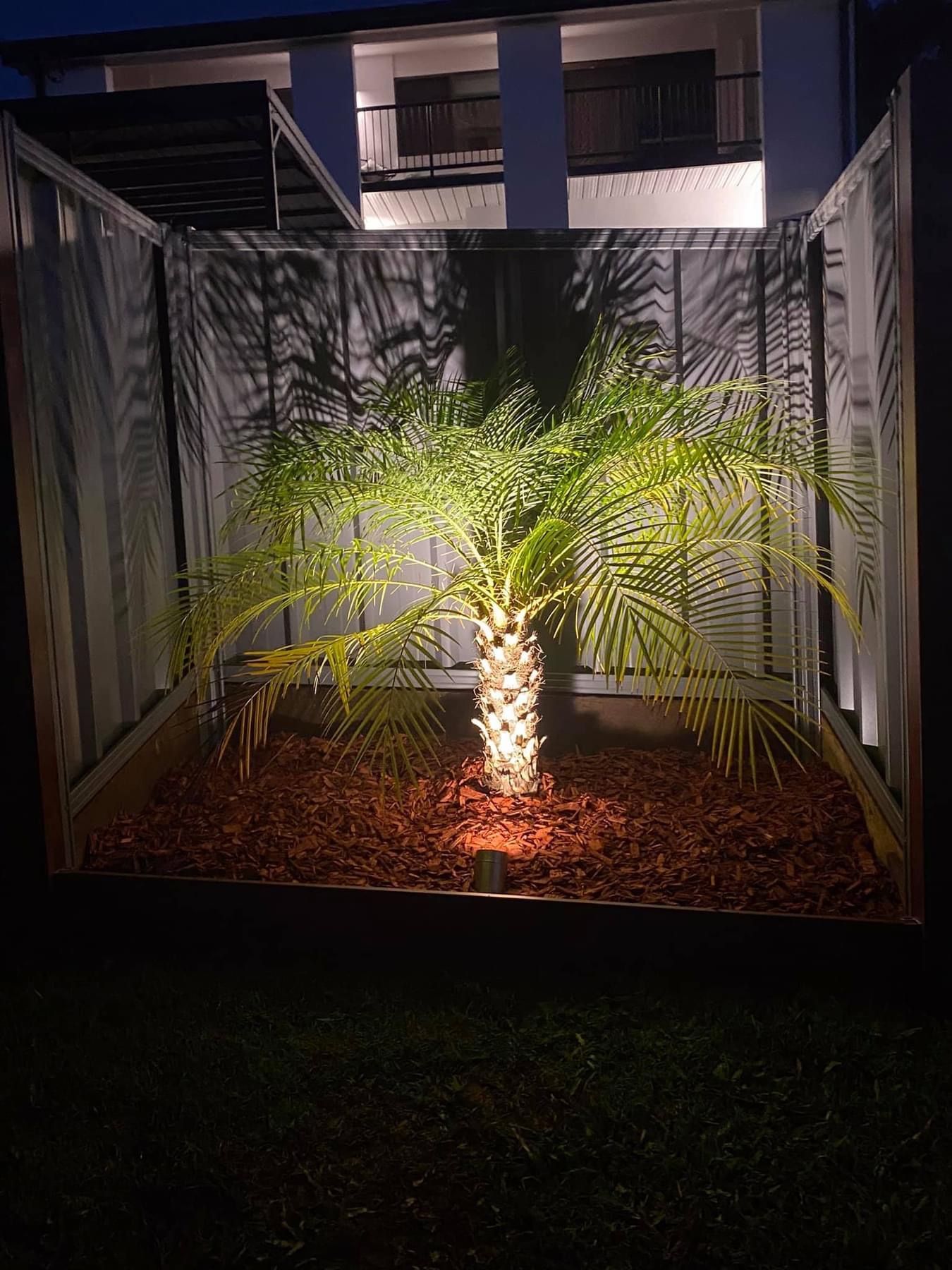 A palm tree is lit up at night in a fenced in area.