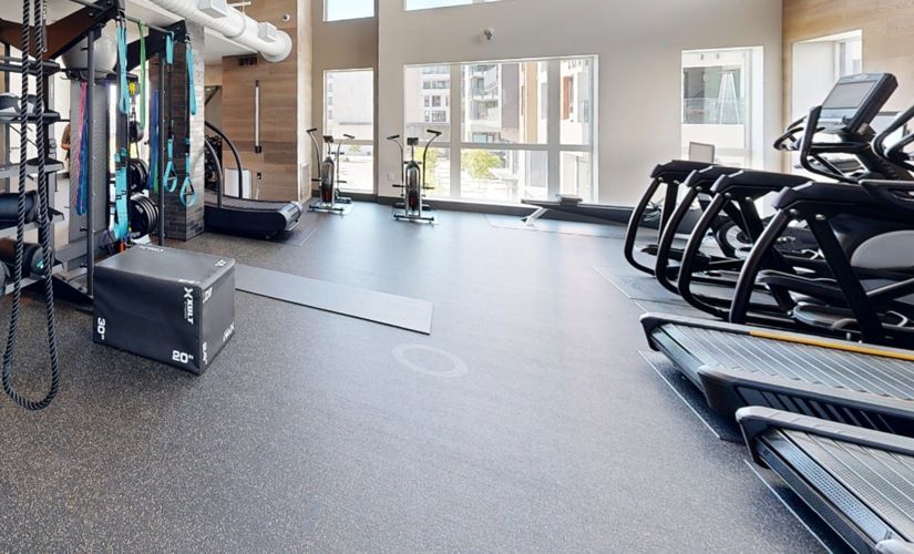 Bright, modern apartment gym with treadmills, bikes, and free weights at Sofia, offers  pet-friendly apartments in Santa Clara.
