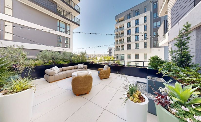 Rooftop communal terrace with seating, planters, and string lights between modern apartment buildings at Sofia, offers  pet-friendly apartments in Santa Clara.