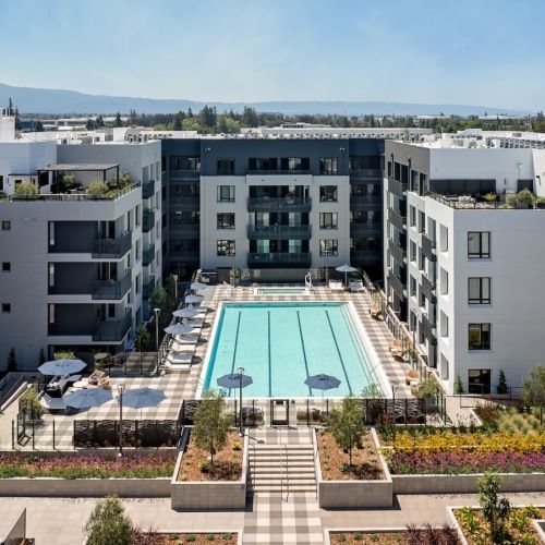 Outdoor pool in a modern apartment complex courtyard with lounge chairs and umbrellas at Sofia, offers  pet-friendly apartments in Santa Clara.