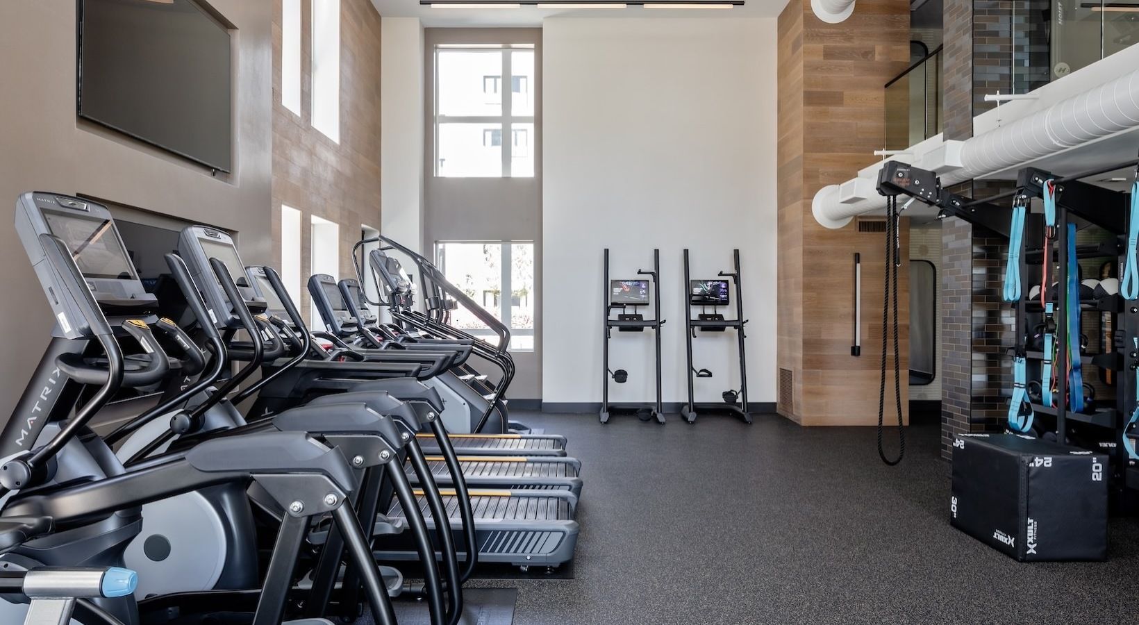 Modern apartment gym with row of treadmills along a wall and natural light at Sofia, offers apartments for rent in Santa Clara, CA.
