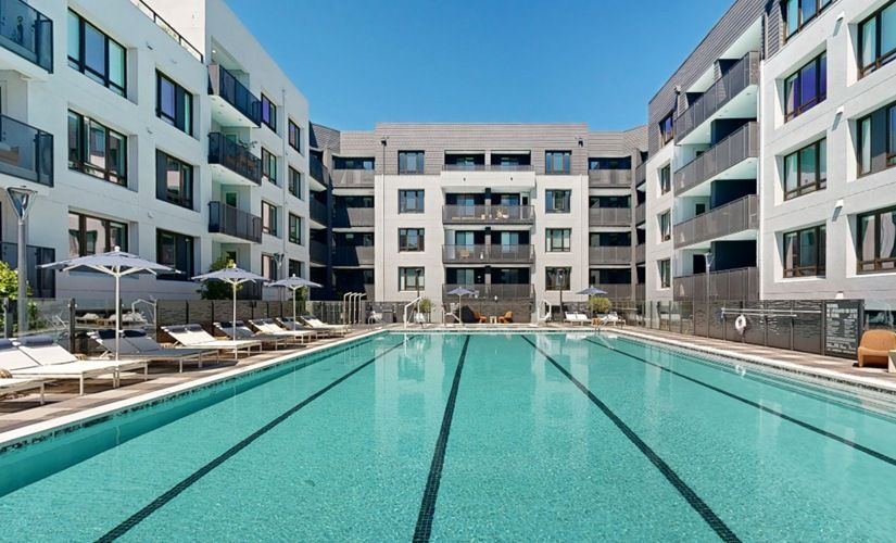 Outdoor pool area surrounded by modern apartment buildings with lounge chairs and umbrellas at Sofia, offers  pet-friendly apartments in Santa Clara.