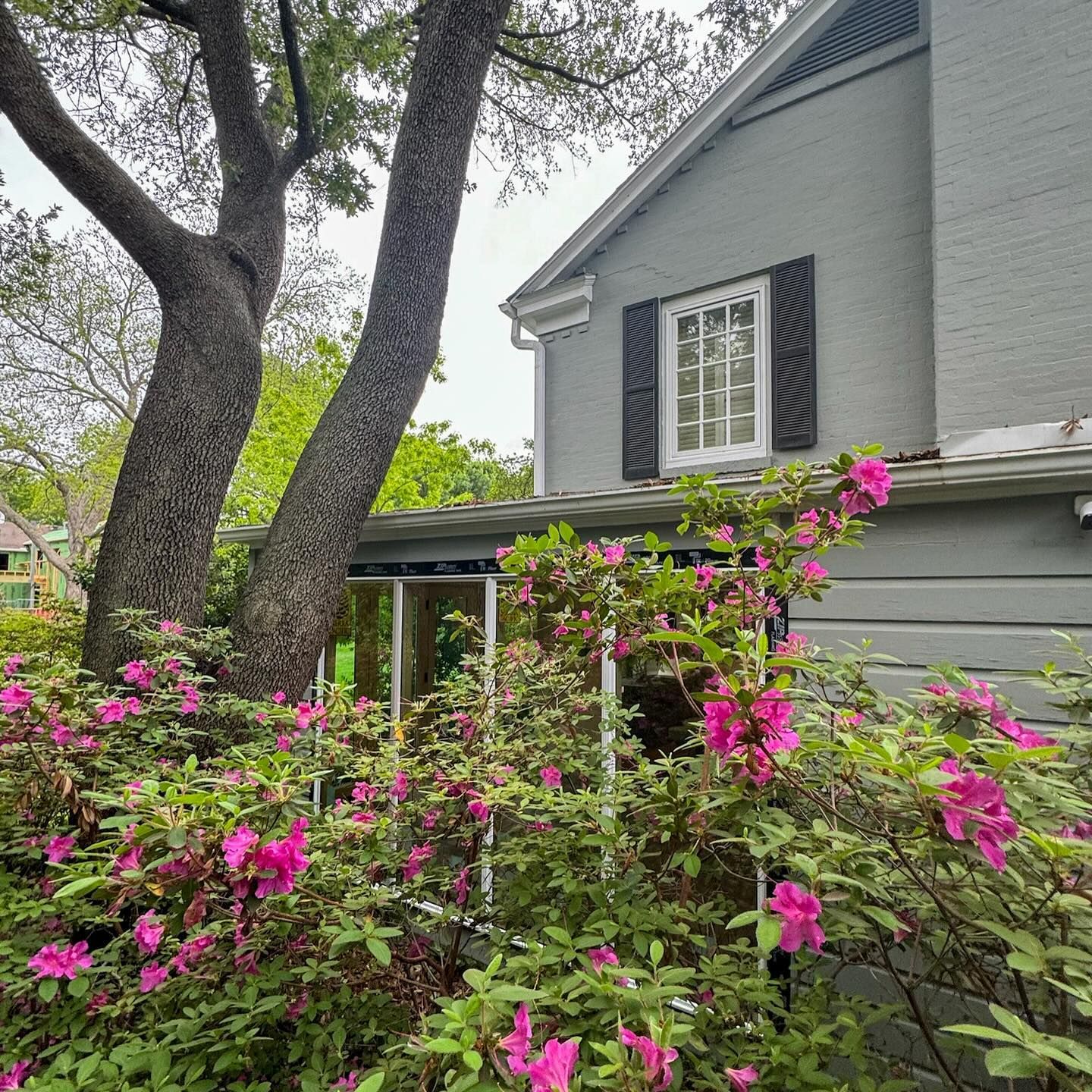 A gray house with pink flowers in front of it