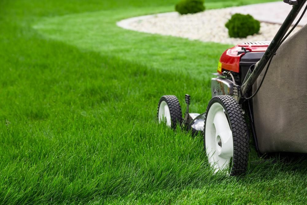 Lawnmower Cutting Green Grass, with A Landscaped Garden in The Background — Lush Property Maintenance Noosa In Noosa Heads, QLD