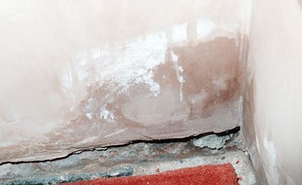 plastered wall affected by damp