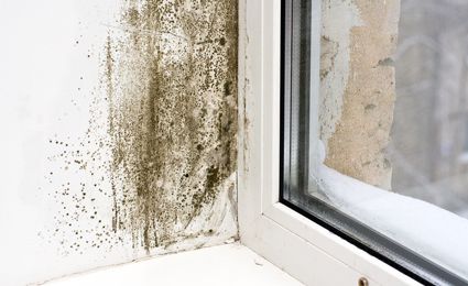 damp  wall next to double glazed window