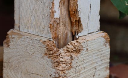 wooden pillar cladding affected by woodworm