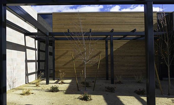 A building with a pergola and a tree in the middle of it