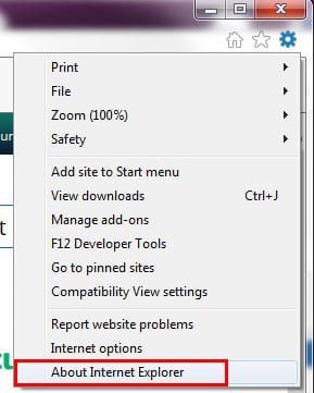 A computer screen shows the about internet explorer option