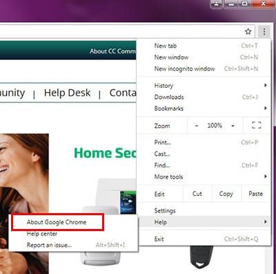 A screenshot of a computer screen showing the about google chrome option
