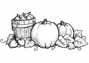 A black and white drawing of pumpkins and a bucket of pumpkins.