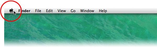 A computer screen with a circle around the apple logo