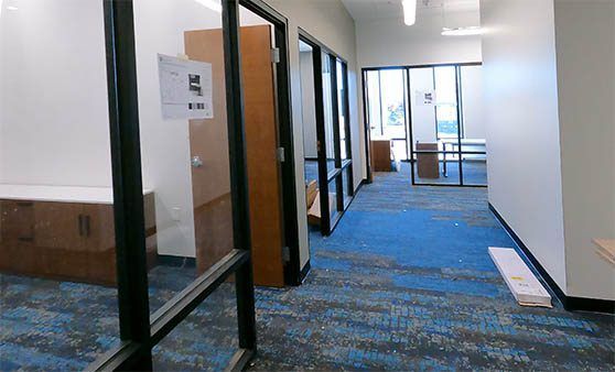 A hallway in an office building with blue carpet and glass doors.