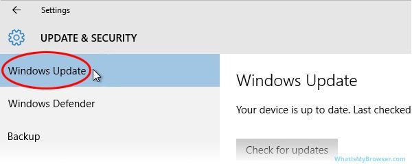 A screenshot of the windows update page on a computer.