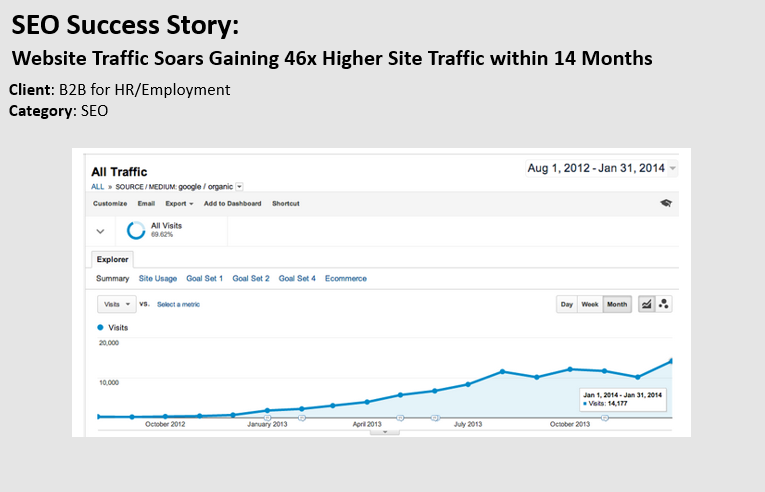 SEO Success  story