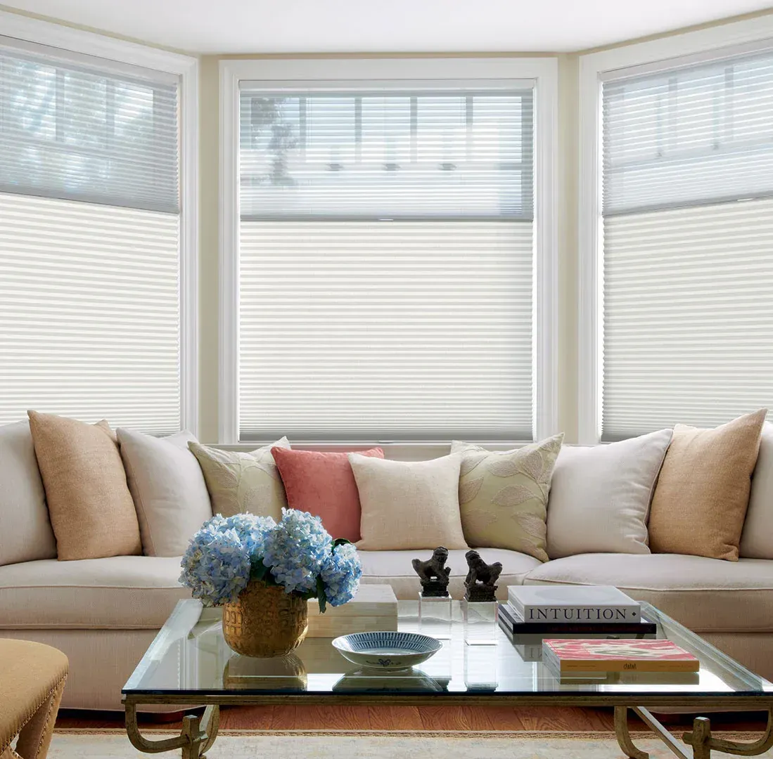 Hunter Douglas Duette Honeycomb shades in a living room for energy efficiency