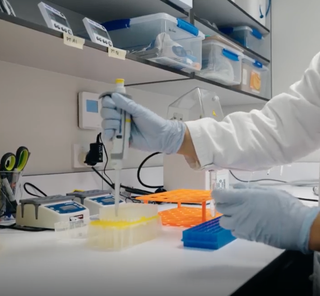 Working in the lab at Engender Technologies