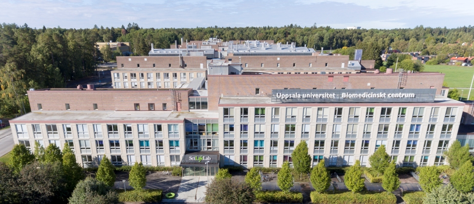 foto da faixada do Hospital Universitário de Uppsala, a construção é rodeada por árvores verdes